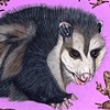 Opossums are Very Misunderstood