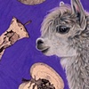 Alpacas are Just Llamas With Bangs