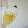 Things That Fly