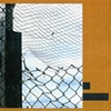 Structure ------x---- Rigidity (pg. 7)