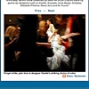 Chicago Sun Times