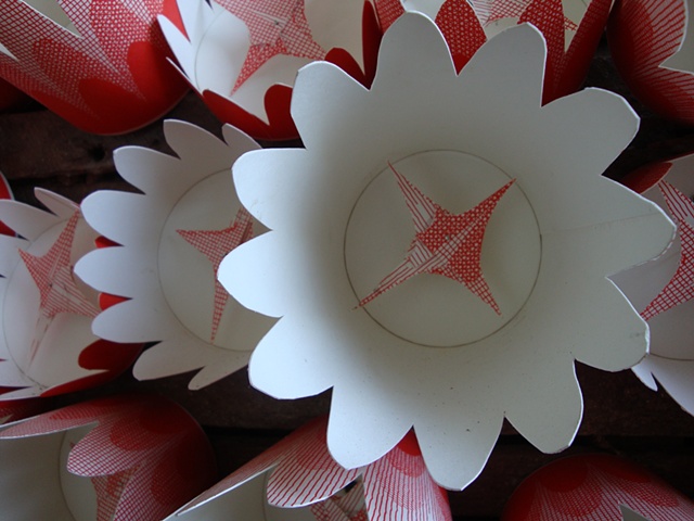 garden residue (flower cups)