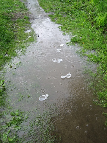 floater series I