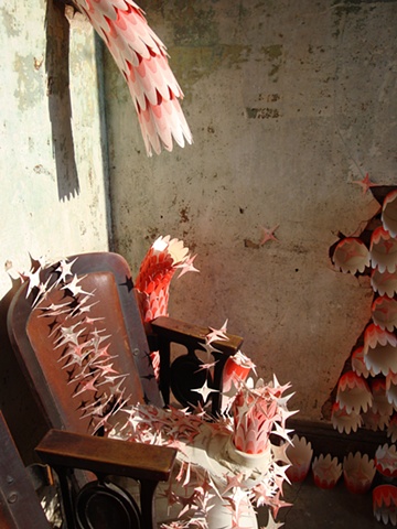 garden residue ( sunny chair view)