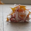left overs (detail 5)
