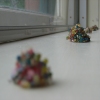 gum drops