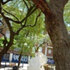 hide n seek (spain 31)
