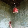 garden residue (lamp)