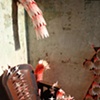 garden residue ( sunny chair view)