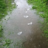 floater series I