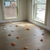 left overs (installation view)