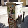 hide n seek (spain 34)