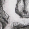 SEED