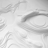 Duck Island - Detail