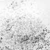 Remnants of Drawing (Eraser Dust)
