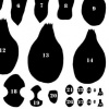 How to Make a Topographic Model of a Duck