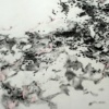 Remnants of Sculpture (Two types of Dust)