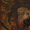 The Watchers