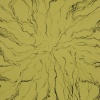 Tree Studies