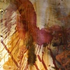 Oiseau de Feu
