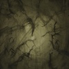 Tree Series #3