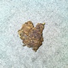 18 Dogshit heart Hammersmith London W6 by Hannah Edy 31 Aug 2009 