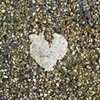 34 Bog roll heart in pebble dash near olympics London by Hannah Edy 14 Aug 2009