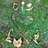 43 Bike chain & leaves big love heart Vicki Park London E3 by Hannah Edy 20 Aug 2009