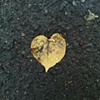 3 Leaf heart Victoria Park London E3 by Hannah Edy 7 Aug 2009 