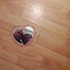 96 Mirror heart Stoke Newington London by Catrin Osborne 15 Dec 2009