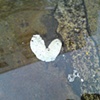 87 Chewing gum heart in puddle Greenwich market by Hannah Edy 14 Nov 2009