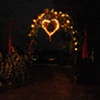 93 Emma's Big Love heart arch Suffolk by Shantaram Marley 5 Sept 2009
