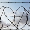 21 Barbed wire heart on canal towpath London E15 by Hannah Edy 20 Aug 2009