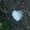 29 Tissue heart Vicki Park London E3 by Hannah Edy 31 Aug 2009