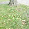 41 Bike chain heart Vicki Park London E3 by Hannah Edy 20 Aug 2009