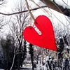 97 Wood heart in snow Suffolk
by Joe Hull 18 Dec 2009