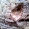 45 Engraved heart in sandstone High Rocks Tunbridge Wells UK by Hannah Edy 19 Sep 2009