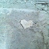 35 Paving slab heart in the duke of northumberlands stately home by Hannah Edy 1 Aug 2009