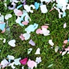 44 Wedding confetti hearts on grass Tunbridge Wells UK by Hannah Edy 19 Sep 2009