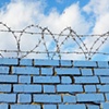 1 Barbed wire heart near Bow flyover London E3 by Hannah Edy 25 Aug 2009