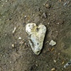 74 Stone heart Vicki Park London E3 by Hannah Edy 10 Aug 2009