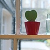 94 Cactus heart Hackney by Hannah Edy 14 Dec 2009