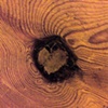 23 Wood heart on table in Duke of York pub London W1  by Hannah Edy 31 Aug 2009