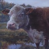 Sanctuary Animals