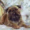 Roxy