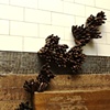 Spores in a Subway Station