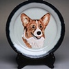 Gus-Pembroke Corgi