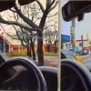 Bay Area Triptych 