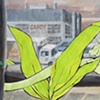 "Brooklyn Farms: Present"
