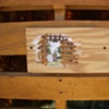 "Pallet City Plein-Air" (detail) 